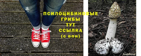 гидра Липки