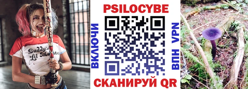 Псилоцибиновые грибы GOLDEN TEACHER  мега ссылка  Починок 